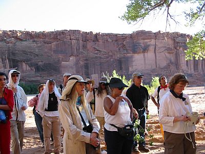 Group on a canyon trek