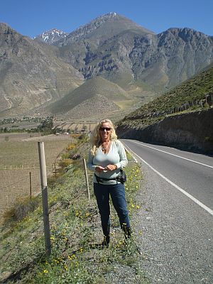 High in the Chilean Andes, Valle de Elqui