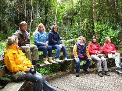 Group at Kauri Trees