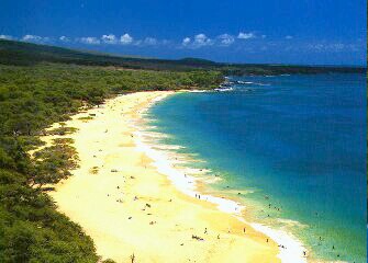 hawaiian wonderful white beaches!